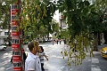 IMG_9570