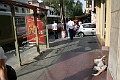 IMG_9574