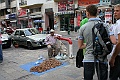 IMG_9591