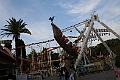 IMG_9641