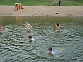 101_8250DSC02374