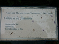 P1000758