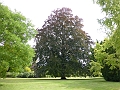 P1000771