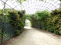 P1000773