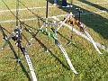 P1000915