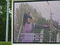 P1010097